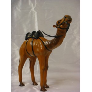 Camello piel 12-4