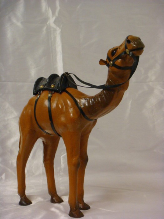 Camello piel 12-4