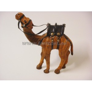 Camello Piel 6-4